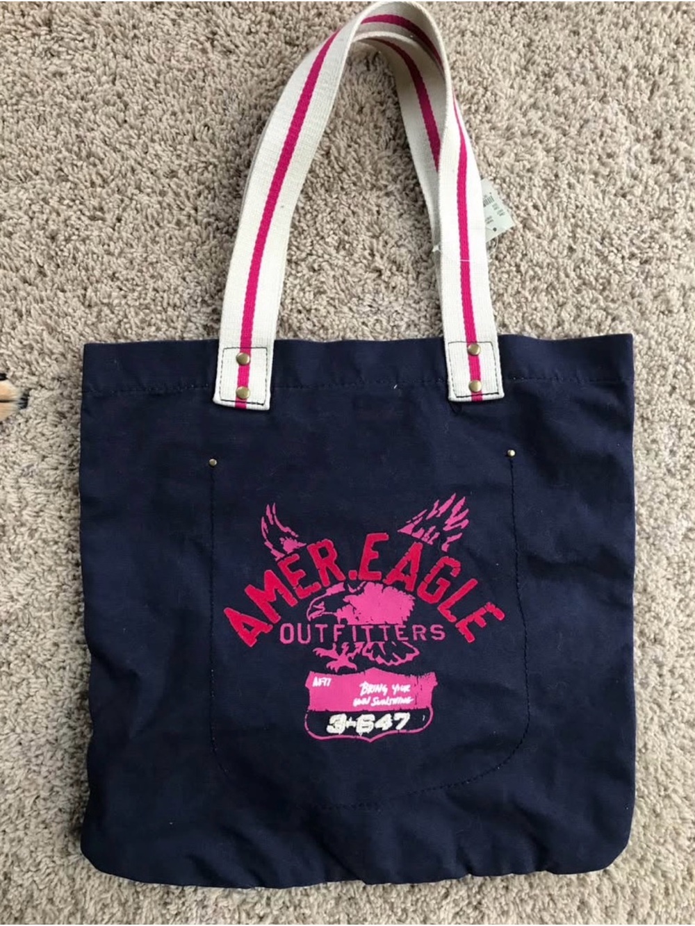 American Eagle Outfitters Navy Tote with Pink Logo and Striped Handles